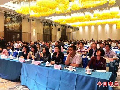 电白再添全域旅游新名片 五星级标准酒店崛起，总投资约8亿